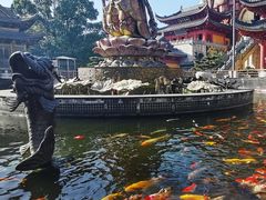 -上海东林寺(金山区)