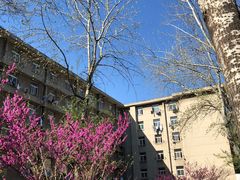 -山东师范大学(千佛山校区)