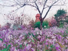 -绿岛公园(滨海新区)