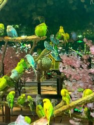 -酷嗒动物文化乐园(cutezoo西溪乐天城店)