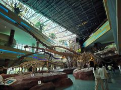 -安徽省地质博物馆