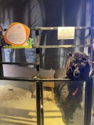 -酷嗒动物文化乐园(cutezoo西溪乐天城店)