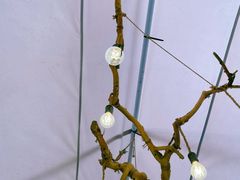 -辛庄国际文化艺术区