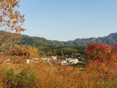 -塔川景区