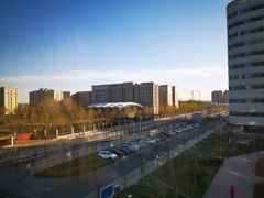 -首都医科大学附属北京天坛医院