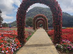 -广州市石门国家森林公园