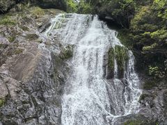 -东天目山风景区