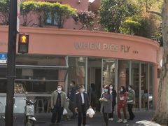 -WHEN PIGS FLY当猪飞