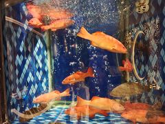 -陶陶居·雅园(凯华国际店)