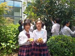 -南京师范大学附属苏州石湖实验小学