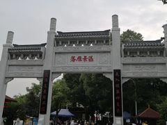 -东湖落雁景区