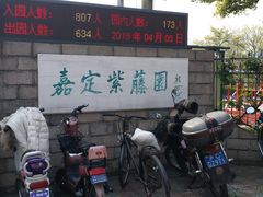 -嘉定紫藤园