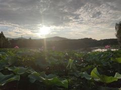 -江南大学-第一食堂(江南苑)