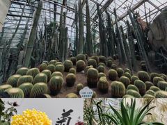-南山植物园