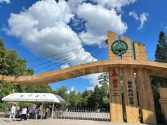 -五营红松林海景区