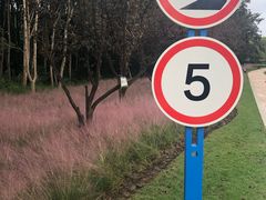 -昆山城市生态森林公园