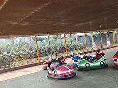 -成飞公园