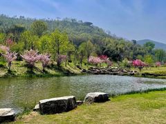 -牛首山文化旅游区