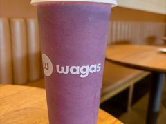 -Wagas沃歌斯(汇智店)