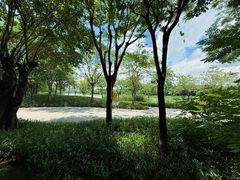 -海珠湖公园