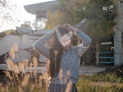 -石家庄市植物园