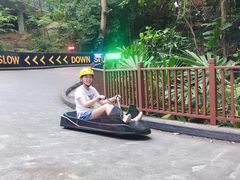-圣淘沙天际线斜坡滑车