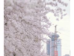 -西北湖绿化广场