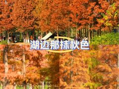 -白鹭湾湿地公园