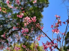 -广州市白云山风景名胜区