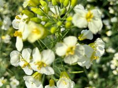 -中国天府农业博览园