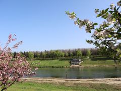 -洨河生态公园