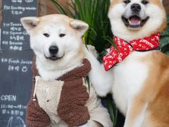 -FUTURE LOUNGE(太古里店)