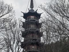 -上海佘山国家森林公园西佘山园