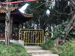 -嘉定紫藤园