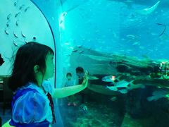 -汉堡王(海昌海洋公园店)