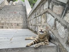 -四门塔风景区