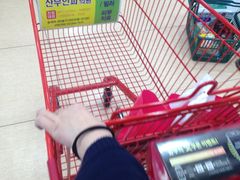 -乐天超市(蚕室店)