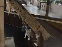 -弓舍射箭俱乐部(高新总店)