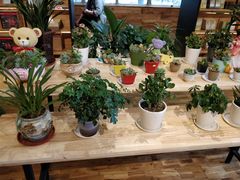 -新华书店(解放中路店)