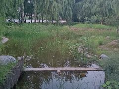 -莲花池公园