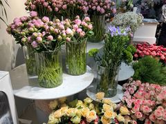 -溪岸路花鸟市场