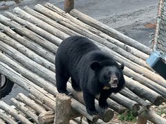 -大连森林动物园