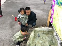 -清境骏亦景观民宿