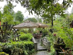 -青城甲(青城山店)