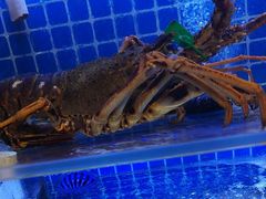 -77号渔船·蒸海鲜青岛菜(积米崖店)