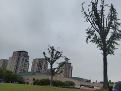 -新江湾城公园
