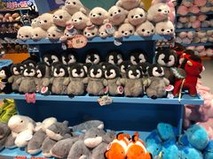 -福州罗源湾海洋世界旅游区