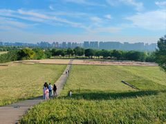 -汉长安城未央宫国家考古遗址公园