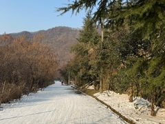 -西安祥峪森林公园