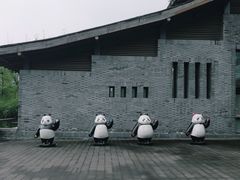 -都江堰中华大熊猫苑